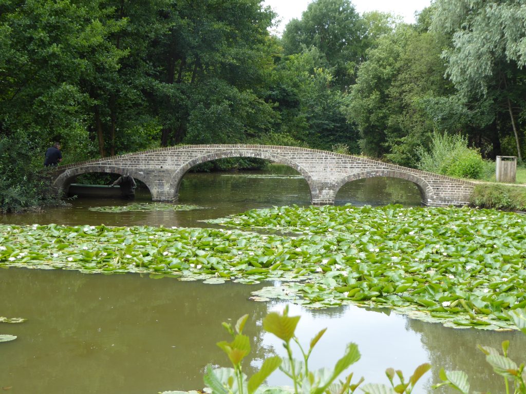 Staunton Country Park